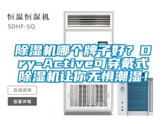 行业新闻除湿机哪个牌子好？Dry-Active可穿戴式除湿机让你无惧潮湿！