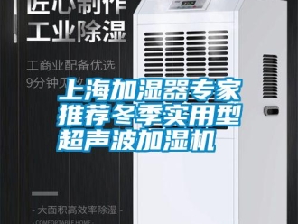 知识百科上海加湿器专家推荐冬季实用型超声波加湿机