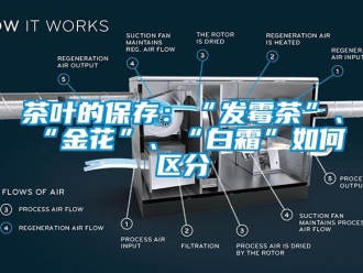 常见问题茶叶的保存：“发霉茶”、“金花”、“白霜”如何区分