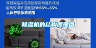 除湿机的结构原理图