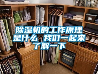 企业新闻除湿机的工作原理是什么 我们一起来了解一下