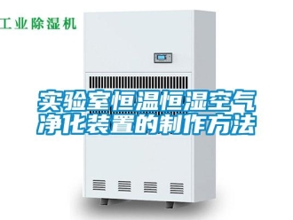 知识百科实验室恒温恒湿空气净化装置的制作方法