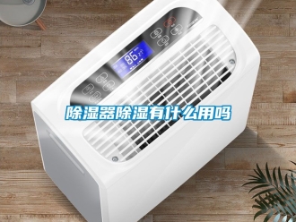 行业新闻除湿器除湿有什么用吗