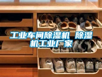 企业新闻工业车间除湿机 除湿机工业厂家