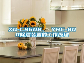 企业新闻XQ-CS60B、 YHC-800除湿装置的工作原理