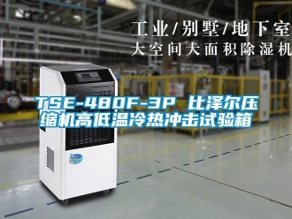 常见问题TSE-480F-3P 比泽尔压缩机高低温冷热冲击试验箱