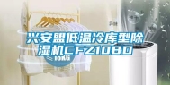 兴安盟低温冷库型除湿机CFZ10BD