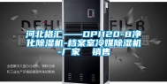 河北格汇——DPI120-8净化除湿机-档案室冷媒除湿机-厂家  销售