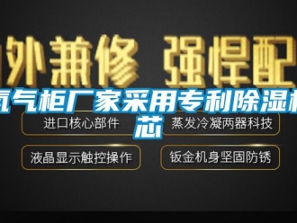 企业新闻氮气柜厂家采用专利除湿机芯