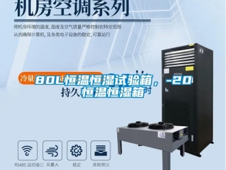 常见问题80L恒温恒湿试验箱，-20℃恒温恒湿箱