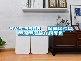 常见问题HWS-350B  深圳实验室恒温恒湿箱容积可选