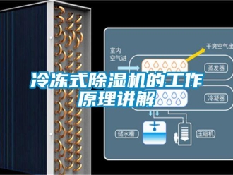 行业新闻冷冻式除湿机的工作原理讲解