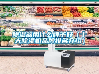 企业新闻除湿器用什么牌子好（十大除湿机品牌排名介绍）