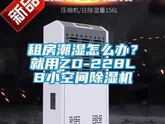 行业新闻租房潮湿怎么办？就用ZD-228LB小空间除湿机