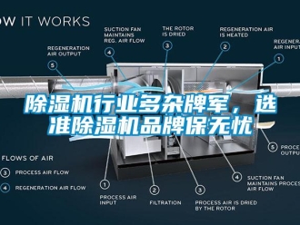 企业新闻除湿机行业多杂牌军，选准除湿机品牌保无忧