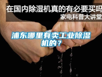 常见问题浦东哪里有卖工业除湿机的？