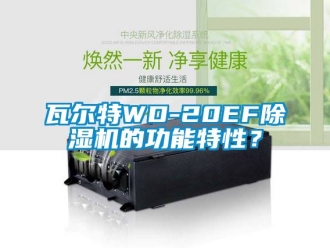 行业新闻瓦尔特WD-20EF除湿机的功能特性？