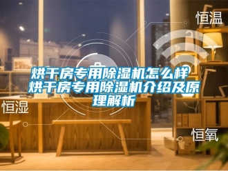 行业新闻烘干房专用除湿机怎么样 烘干房专用除湿机介绍及原理解析