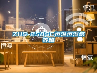 常见问题ZHS-250SC恒温恒湿培养箱