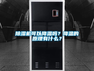 行业新闻除湿机可以降温吗？降温的原理有什么？