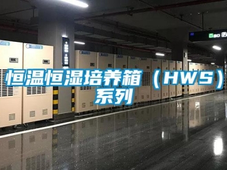 知识百科恒温恒湿培养箱（HWS）系列