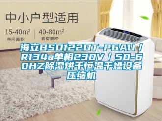 知识百科海立BSD122DT-P6AU／R134a单相230V／50-60HZ除湿烘干恒温干燥设备压缩机