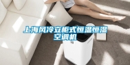上海风冷立柜式恒温恒湿空调机