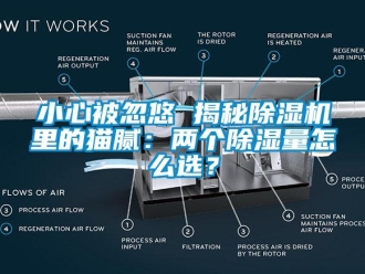 行业新闻小心被忽悠 揭秘除湿机里的猫腻：两个除湿量怎么选？