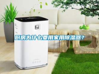 行业新闻厨房为什么要用家用除湿器？