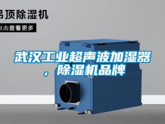 常见问题武汉工业超声波加湿器，除湿机品牌