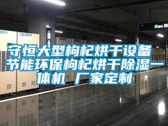 企业新闻守恒大型枸杞烘干设备 节能环保枸杞烘干除湿一体机 厂家定制