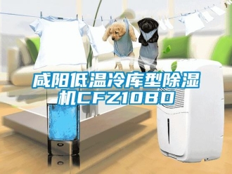 行业新闻咸阳低温冷库型除湿机CFZ10BD