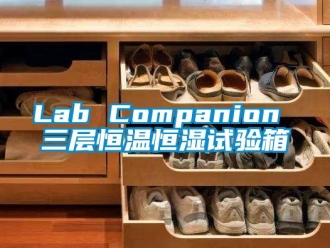 常见问题Lab Companion 三层恒温恒湿试验箱