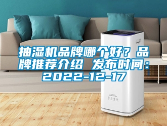 企业新闻抽湿机品牌哪个好？品牌推荐介绍 发布时间：2022-12-17