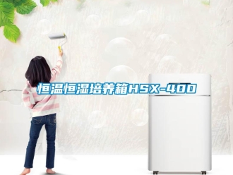 知识百科恒温恒湿培养箱HSX-400