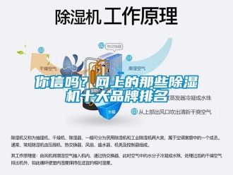 常见问题你信吗？网上的那些除湿机十大品牌排名