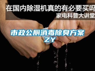 知识百科市政公厕消毒除臭方案 ZY