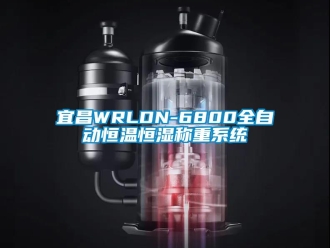 知识百科宜昌WRLDN-6800全自动恒温恒湿称重系统