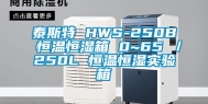 泰斯特 HWS-250B 恒温恒湿箱 0~65℃／250L 恒温恒湿实验箱