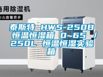 知识百科泰斯特 HWS-250B 恒温恒湿箱 0~65℃／250L 恒温恒湿实验箱