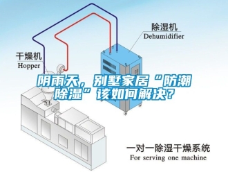 常见问题阴雨天，别墅家居“防潮除湿”该如何解决？