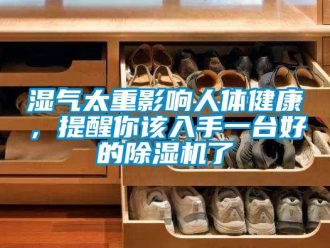 知识百科湿气太重影响人体健康，提醒你该入手一台好的除湿机了