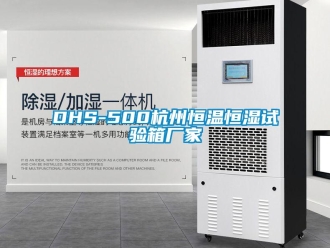 常见问题DHS-500杭州恒温恒湿试验箱厂家