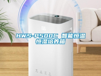 常见问题HWS-P500C 智能恒温恒湿培养箱