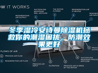 企业新闻冬季湿冷安诗曼除湿机拯救你的潮湿困扰，防潮效果更好