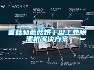 知识百科香菇和蘑菇烘干型工业除湿机解决方案