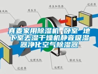 常见问题真麦家用除湿机 卧室 地下室去湿干燥机静音吸湿器净化空气除湿器