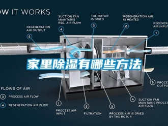 企业新闻家里除湿有哪些方法