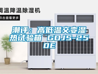 常见问题潮评：高低温交变湿热试验箱 GDJS-250E