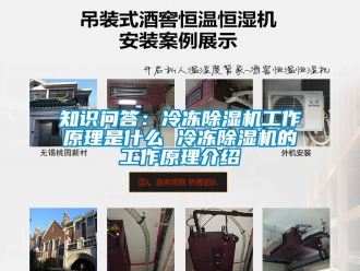 行业新闻知识问答：冷冻除湿机工作原理是什么 冷冻除湿机的工作原理介绍